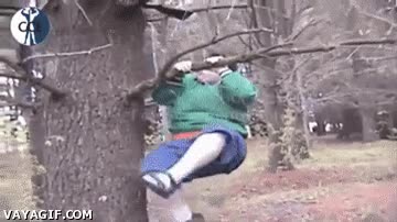 no aguanto la presion,gordo,obeso,arbol,rama,subir,romper