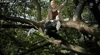 Jodidas palomas, aquí va mi venganza ramas,arbol,nido,cagar,venganza,paloma,cagada