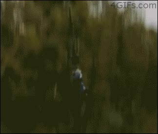 extremo,cabeza,arrancar,bungee,cocodrilo,fail,morder,mordisco