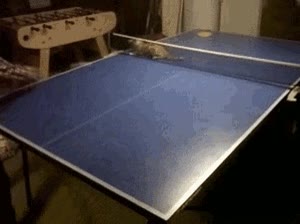 red,tenis,ping-pong,mesa,gato,jugar