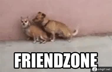 friendzone,perros,cadera,movimiento