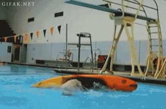 Teniendo un Máster, tienes una herramienta que te prepara para el mercado laboral kayak,planchazo,gordo,piscina