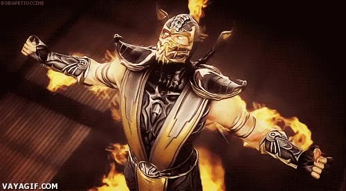 fuego,videojuegos,combustion espontanea,scorpion,internet,madre,mortal kombat