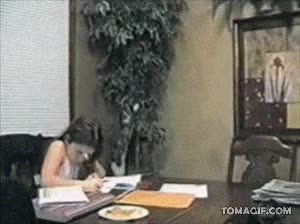 deberes,planta,gato,chica,leñador