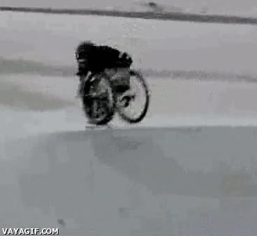 casco,silla de ruedas,boss,mortal atras,skatepark