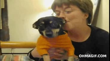 enfado,cabreado,morder,señora,oreja,perro