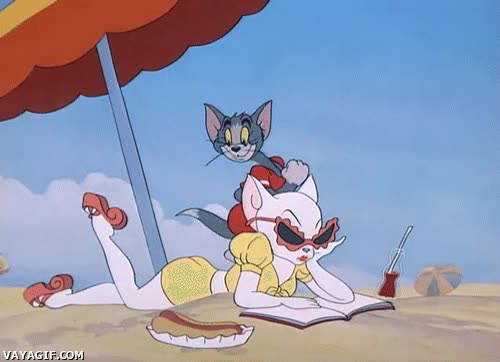 playa,gato,Tom y Jerry,poco disimulo,caminando