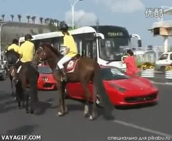 coz,coche,caballo,ferrari