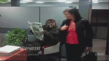 ¡Hola! Venía por lo de la entrevist... ¡joder, siempre igual! broma,susto,periodico,lobo,diario,entrevista,oficina,hombre lobo