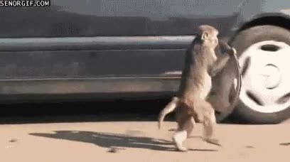 llanta,coche,mono,rueda,tapacubos,mercedes,robar