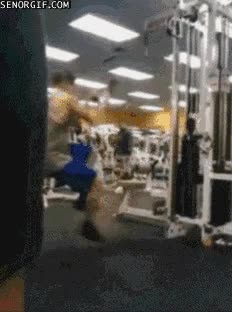 dandolo todo,pesas,maquina,triceps,gimnasio,ejercicio