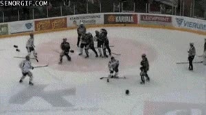 puñetazo,Hockey sobre hielo,on ice,pelea