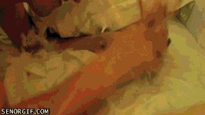 Enlace a Diversión en la cama