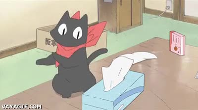 gato,pañuelos,jugar,caja,nichijou,anime