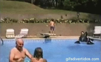 voltereta,fail,golpe,caer,piscina,espaldas