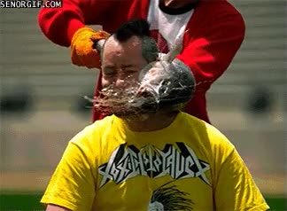 jackass,pescado,chico,pegar,hombre,ostia