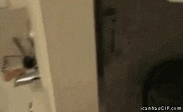 culpabilidad,perro,baño,sabana,romper,miedo,asustado,escondido