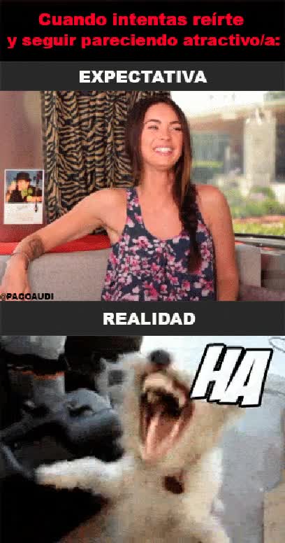 perro diabolico,reir,risa,atrativa,emocion,aparentar