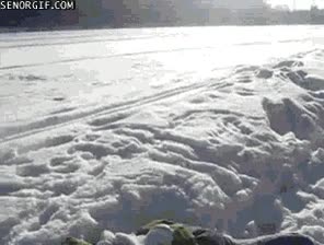 descubriendo la nieve,bufanda,mono,dia,nieve,abrigo,primer d&iacute;a