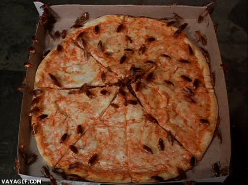 dieta,pizza,insectos,comida,cucarachas,rico,malo,asco