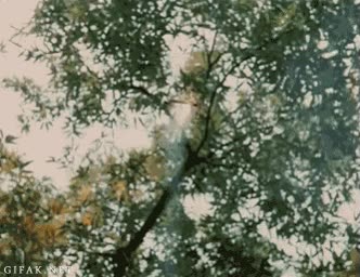 bollywood,indio,disparo,encender,cigarrillo,feel like a boss,pistola,rev&oacute;lver