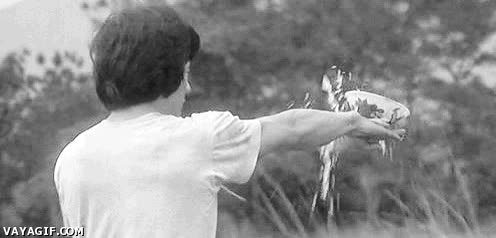 cuenco,entrenar,plato,agua,jackie chan,artes marciales