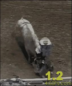 Subir,toro,suerte,rebote,rodeo,cowboys
