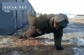 flexiones,rusia,soldado,sin manos,mama