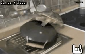 wok,olla,tortuga,copulando,cocina