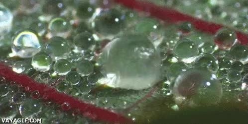 agua,fusión,gotas de agua,union