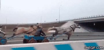 Rusia,galopar,a lo antigua Grecia,Caballo
