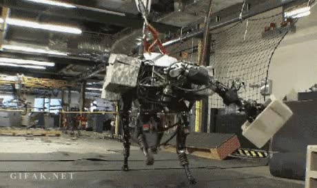 perro,robot,boston,tecnologia,lanzar,bloque,hormigon