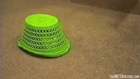 pelota,devolver,pata,esconderse,gato