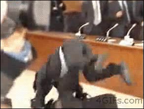 superan,asiáticos,políticos,pelear,judo