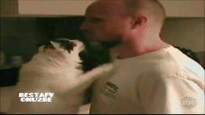 beso felino,beso,lengua,besame,gato
