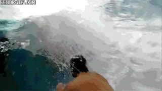 Surfear,Surf,Mar,Ola,Dentro,Playa,Hawaii