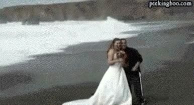 lapras,pokemon,boda,surf,super,efectivo
