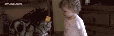 gato,niña,bebé,hipnotizadora de gatos,encantador de perros