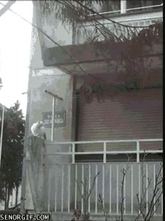 Gato,Salto,Balc&oacute;n,Edificio