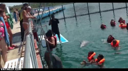 delfin,tocar culo,chica,subir,ayuda