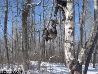 &aacute;rbol,hostia,golpe,rama,ca&iacute;da,nieve,&iquest;Rusia?