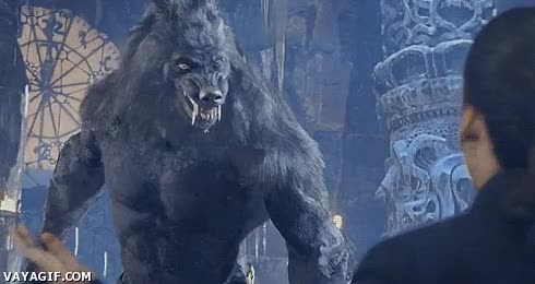 monstruo,tranquilo,dueño,no muerde,hombre lobo,perro