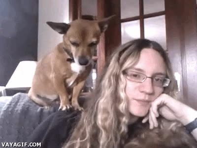 Igualitaria.,Igualdad,Cariño,Mimo,Rubia,Mujer,Perro