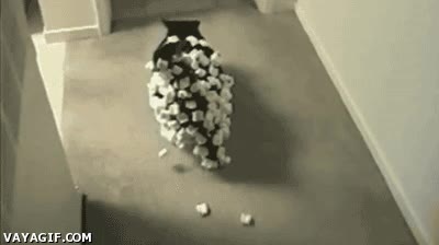 gato,electricidad est&aacute;tica,espuma,poliestireno