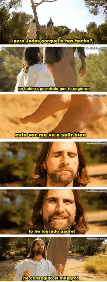 milagro,Judas,revivir,suicida,ahorcarse,Dios,creyentes,Jesus,Jesucristo