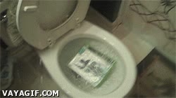 call of duty,retrete,rabioso,rabiar,juegos,xbox,chico,inodoro,battlefield