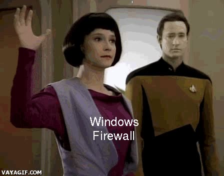 virus,descripcion grafica,windows firewall,troyano,star trek,data