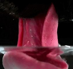 Cámara lenta,Beber,Agua,Lengua,Perro
