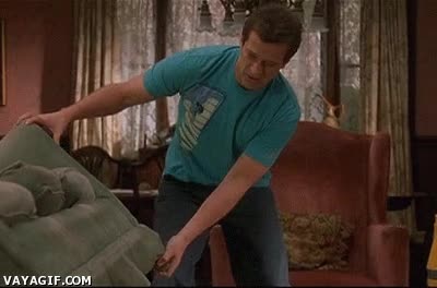 mierda,mueble,levanta,sofa,limpieza,wtf,disecado,mascota