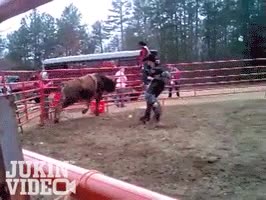 cowboys,rodeo,toro,matar,torero,empujar